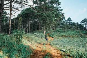 BIB: 
                            <button type="button" onclick="openModal(25653719)" class="btn btn-primary btn-sm float-right btn-popup" data-toggle="modal" data-target=".modal-high-quality">
                        <i class="fas fa-shopping-cart"></i> Add to Cart
                    </button>
                                            <button type="button" onclick="isThisMe(25653719, true)" class="btn btn-success btn-sm float-right btn-popup btn-isme hidden" data-toggle="tooltip" data-placement="bottom" title="นี่คือรูปของคุณใช่ไหม คลิกที่นี่เพื่อเอาเข้าอัลบั้ม">
                        <i class="fas fa-plus"></i> Add to album
                    </button>
                    <button type="button" onclick="isThisMe(25653719, false)" class="btn btn-warning btn-sm float-right btn-popup btn-isnotme hidden">
                        <i class="fas fa-ban"></i> Remove from album
                    </button>